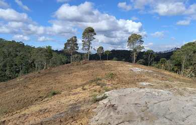 Imagem: A fazenda possui 10498m² de Área e está localizado em Domingos