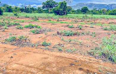 Imagem 7: Fazenda à Venda no Município de Flores de Goiás
