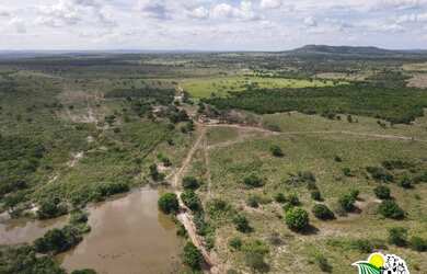 Imagem: A fazenda possui 47800m² de Área e está localizado em Jeremoabo