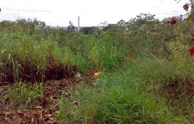 Imagem: O terreno possui 4.365m² de Área e está localizado em Mansões