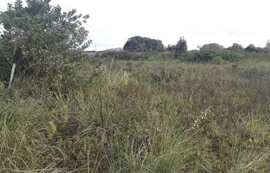 Imagem 3: Terreno. 6.400m² de Área