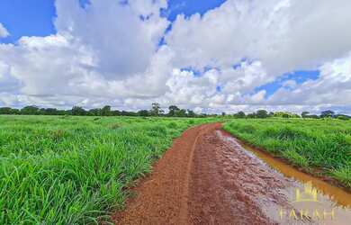 Imagem 9: Fazenda à Venda no Município de Flores de Goiás