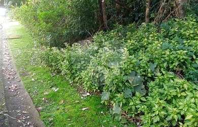 Imagem 2: Maravilhoso terreno no Alpes da Cantareira, segurança 24 horas, com academia