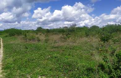 Imagem 9: Lote/Terreno para venda com 220 e 330 metros quadrados em Tangente - Água...