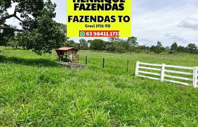 Imagem 4: Fazenda região central de Palmas a Porto Nacional