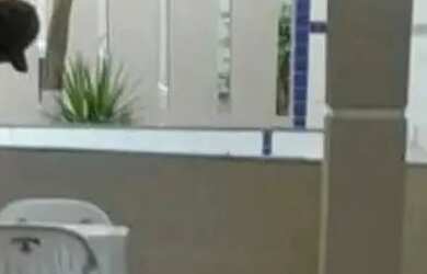 Imagem 8: Casa na Atalaia Nova- 112345 21487