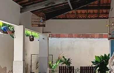 Imagem 3: Excelente casa na caponga