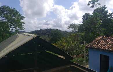 Imagem 10: Vendo Fazenda De Cacau Em Gandu