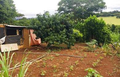 Imagem 9: chacara em inhumas. 5.000m² de Área