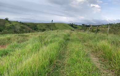 Imagem 9: Lote/Terreno para venda com 800 metros quadrados em Parque Rodrigo Barreto...