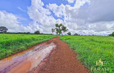 Imagem: A fazenda possui 30.490m² de Área e está localizado em Nova