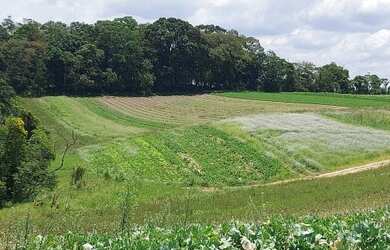Imagem: O terreno possui 600m² de Área e está localizado em Centro