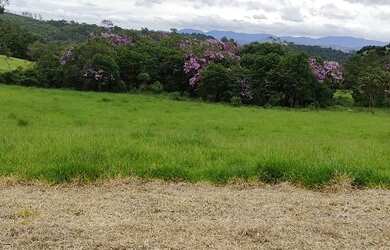 Imagem 14: Lote/Terreno para venda possui 1000 metros quadrados em Moinho I - Nazaré...