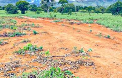 Imagem 12: Fazenda à Venda no Município de Flores de Goiás