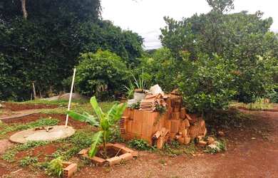 Imagem 10: chacara em inhumas. 5.000m² de Área