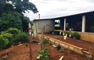 Imagem 5: chacara em inhumas. 5.000m² de Área