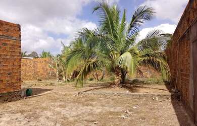 Imagem 3: Terreno 20x20 todo murado