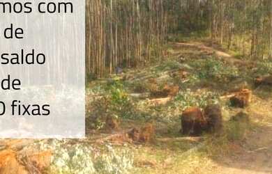 Imagem: O terreno possui 2.500m² de Área e está localizado em Salesópolis