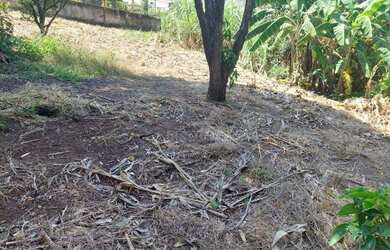 Imagem 8: Terreno à venda, 4619 m² por R$ 4.619.000,00 - Granja Viana - Cotia/SP