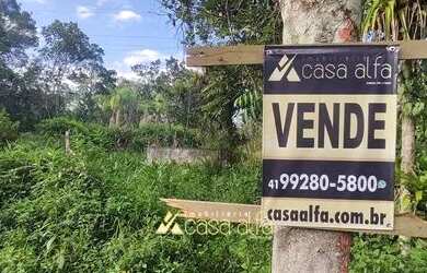 Imagem 7: Terreno 5000 mil metros de frente para Rodovia 407