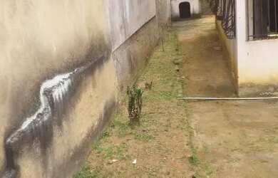 Imagem 5: VENDE SE CASA Bairro SÃO Francisco Cariacica