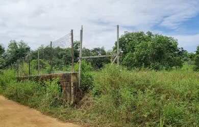 Imagem 1: Area 50x100. 5.000m² de Área