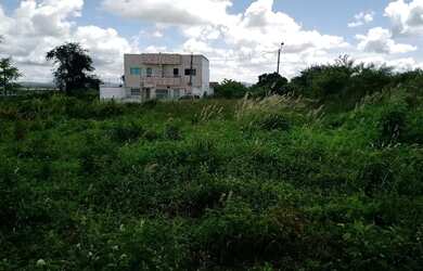 Imagem 3: Terreno no Luiz Gonzaga 12x30