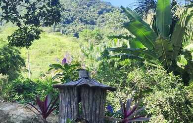 Imagem 14: Sítio Donana Sana aluguel por temporada