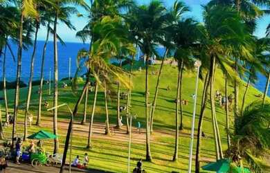 Imagem 3: Imóvel para aluguel com 74 metros quadrados com 2 quartos em Barra -...