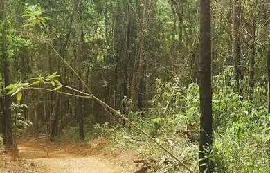 Imagem: O terreno possui 1.000m² de Área e está localizado em Rio