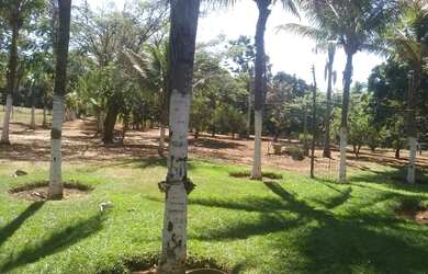 Imagem: A fazenda possui 12m² de Área e está localizado em Santa