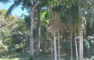 Imagem 9: Chacara em forma att Haberli