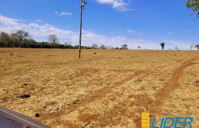 Imagem 6: Fazenda à venda, ÁREA RURAL DE UBERLÂNDIA - Uberlândia/MG