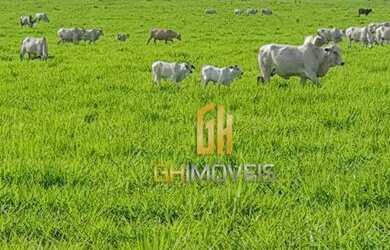 Imagem 11: Fazenda à venda, 6100 Hectares por R$ 770.000 - Zona Rural - Nova Maringá/MT