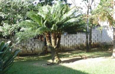 Imagem 10: Salto - Chácara - João Jabour