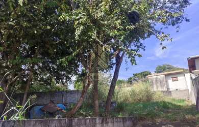 Imagem 12: Atibaia - Terreno Padrão - Jardim dos Pinheiros