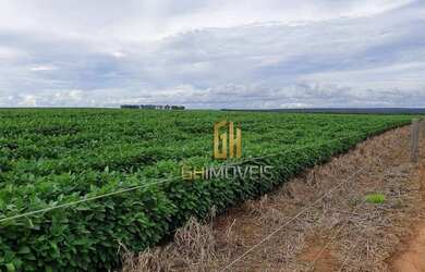 Imagem 2: Fazenda à venda, 6100 Hectares por R$ 770.000 - Zona Rural - Nova Maringá/MT