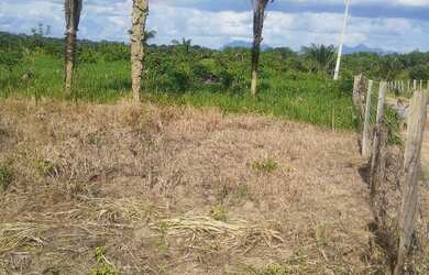 Imagem 6: Chácara rural 250x200. 