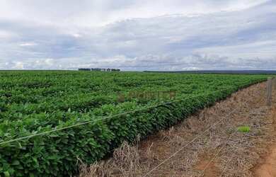Imagem 2: Fazenda à venda, 6100 Hectares por R$ 770.000 - Zona Rural - Nova Maringá/MT
