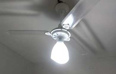 Imagem 13: Apartamento para Locação em São José do Rio Preto, Residencial Ana Célia, 2 dormitórios, 1