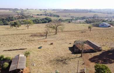 Imagem: A fazenda está localizado em Cosmorama, SP à venda por R$1.000.000