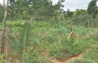 Imagem 3: Vendo lote em canto do engenho, troco em carro ou moto