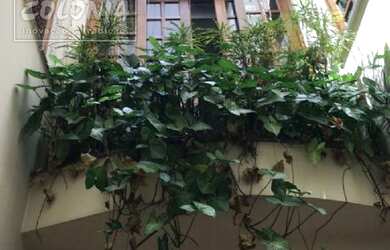 Imagem 6: Santo André - Apartamento Padrão - Jardim Bela Vista