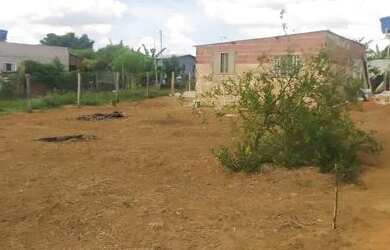 Imagem 7: Vendo lote no Incra 7. 500m² de Área, 4 Vagas na garageme2 Dormitórios