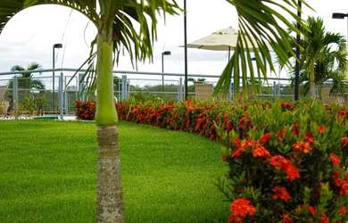 Imagem: O terreno possui 160m² de Área e está localizado em Brasília