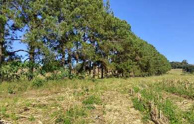 Imagem 3: Lote/Terreno para venda possui 500 metros quadrados em Usina - Atibaia...