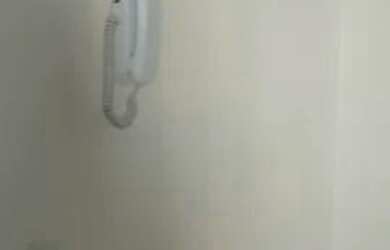 Imagem 12: Linda Cobertura com fino acabamento e lazer para seu churrasco em familia