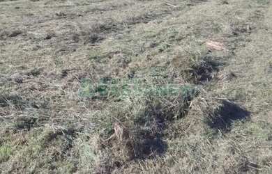 Imagem 4: Terreno Centro Garibaldi. 760m² de Área