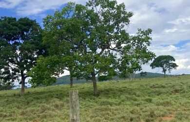 Imagem 16: Fazenda à venda com 422ha - Dupla aptidão em Unai - MG
