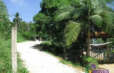 Imagem 3: AREA - LARANJA AZEDA - SP